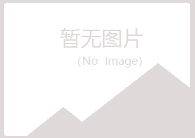 阳山县清新银行有限公司